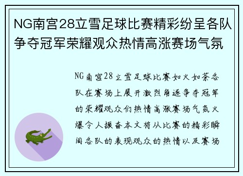 NG南宫28立雪足球比赛精彩纷呈各队争夺冠军荣耀观众热情高涨赛场气氛火爆